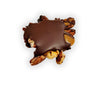 Pecan Puddles